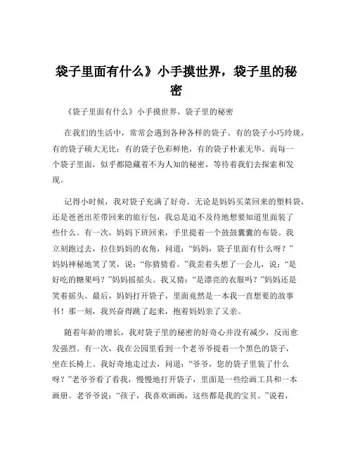 袋子里面有什么》小手摸世界,袋子里的秘密