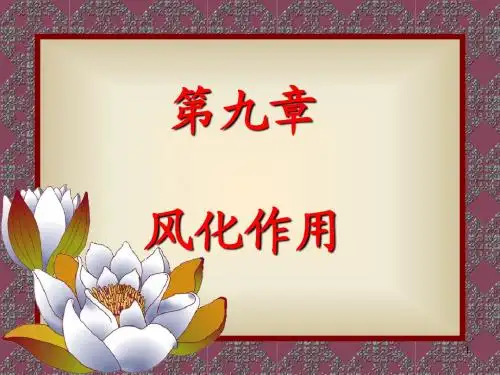 9第九章 风化作用