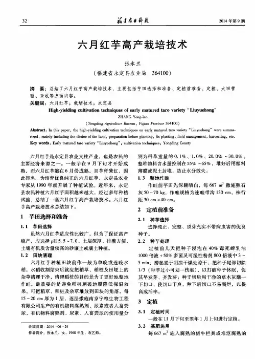 六月红芋高产栽培技术