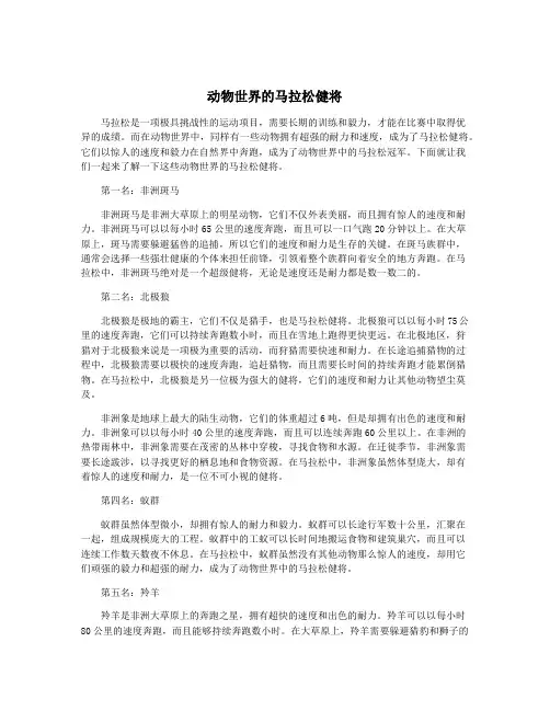 动物世界的马拉松健将