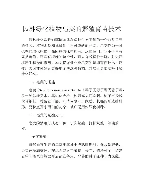 园林绿化植物皂荚的繁殖育苗技术
