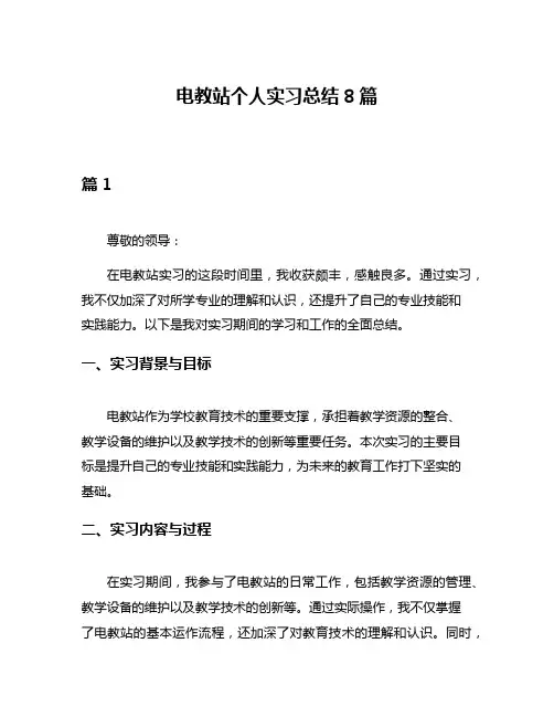 电教站个人实习总结8篇