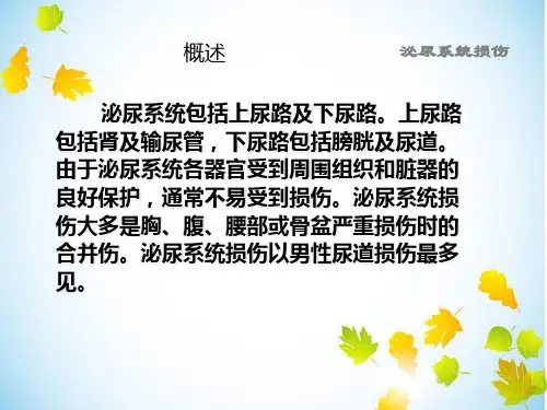 泌尿系损伤病人的护理1课件