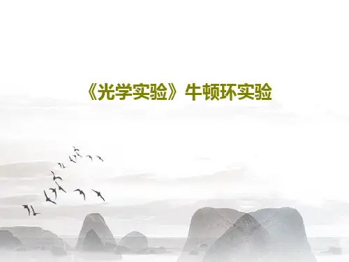 《光学实验》牛顿环实验PPT文档23页