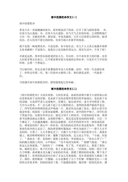 雨中的那把伞作文
