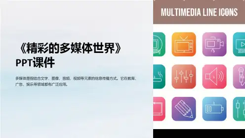 《精彩的多媒体世界》课件