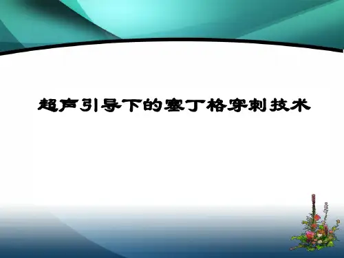[优质文档]超声引导下的塞丁格穿刺技术