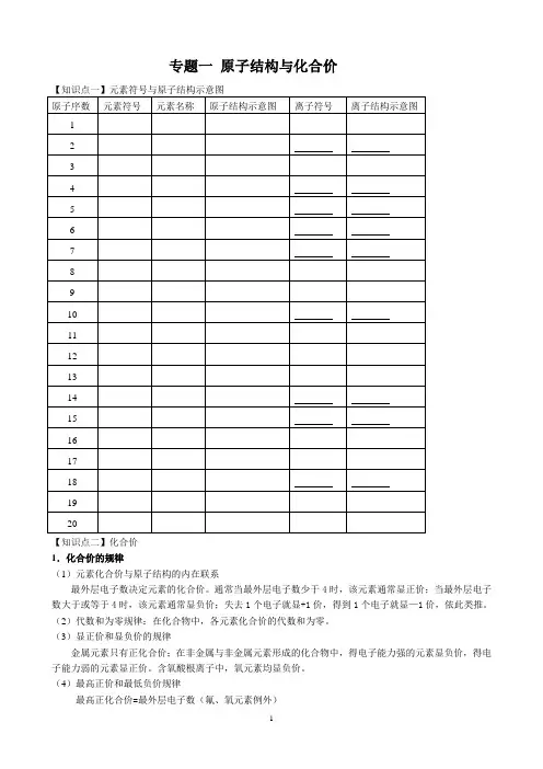 专题一 原子结构与化合价
