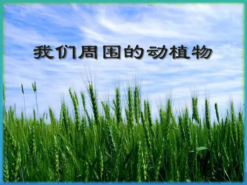 《我们周围的动植物》课件