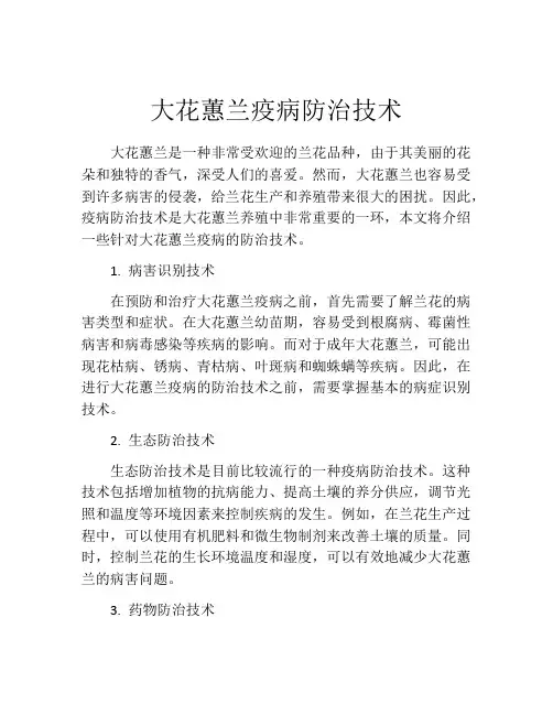 大花蕙兰疫病防治技术