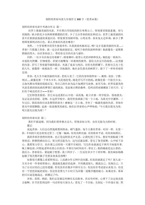 别样的青春风景九年级作文800字(优秀4篇)