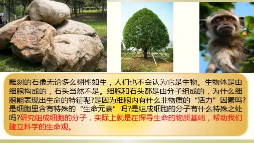 苏教版高中生物必修一