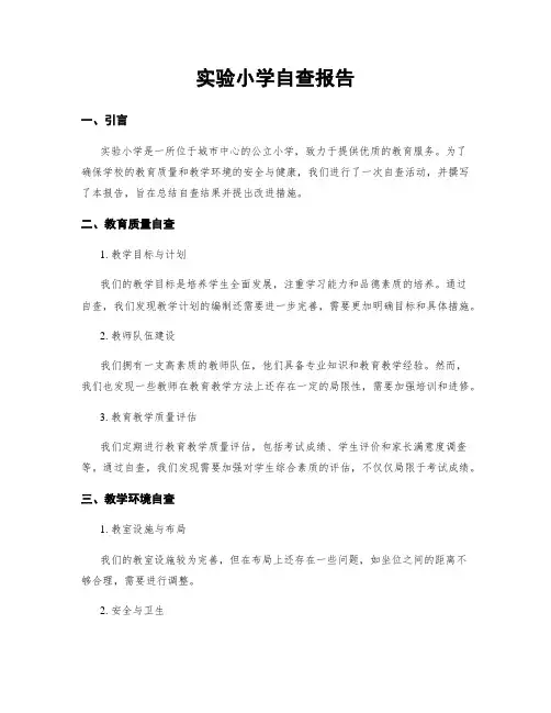 实验小学自查报告