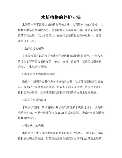 水培植物的养护方法