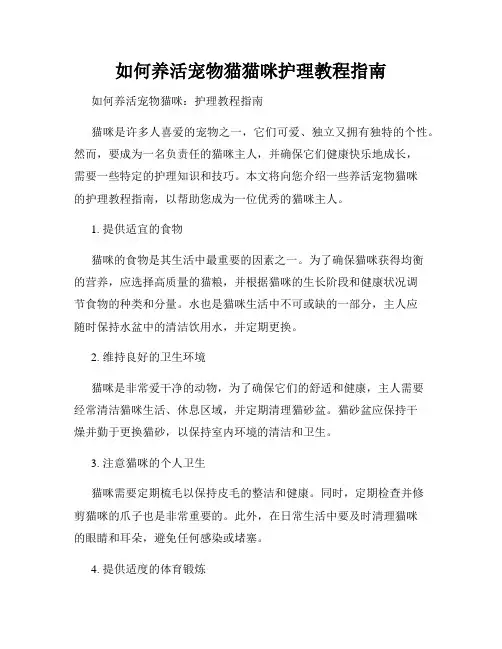 如何养活宠物猫猫咪护理教程指南