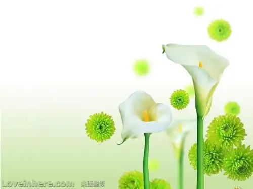 18.《竹影》课件1