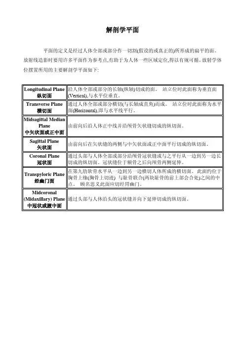 解剖学平面