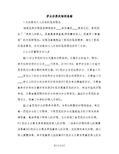 护士分层次培训总结（2篇）