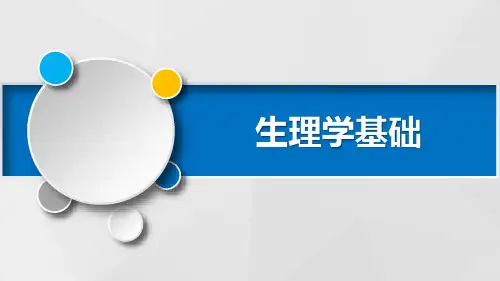 感觉器官PPT课件