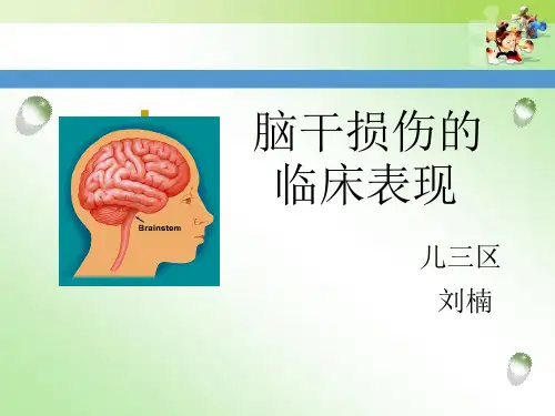 脑干损伤的临床表现