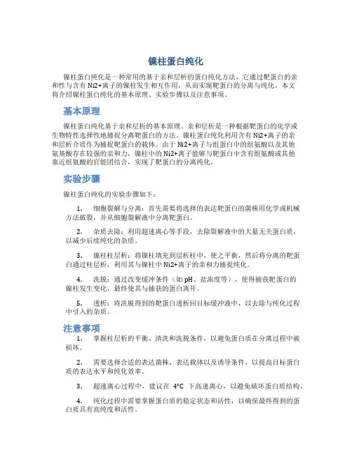 镍柱蛋白纯化