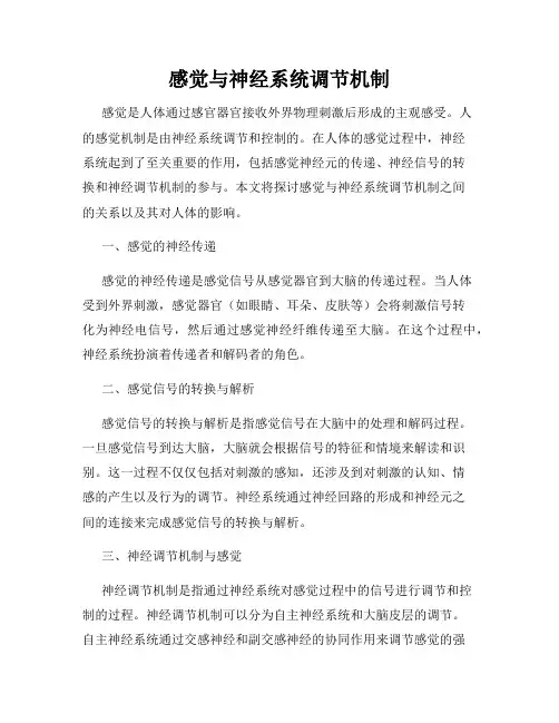 感觉与神经系统调节机制