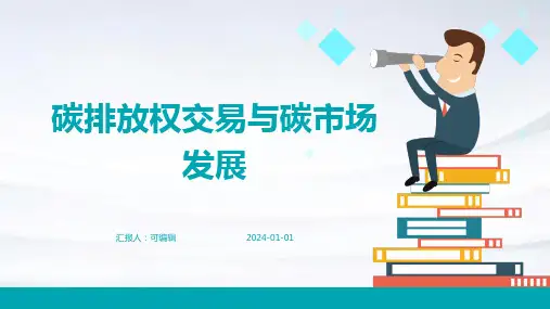 碳排放权交易与碳市场发展 (2)