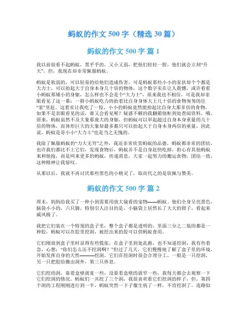 蚂蚁的作文500字(精选30篇)