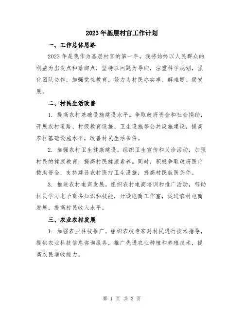2023年基层村官工作计划