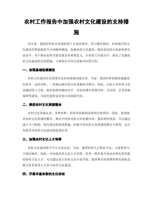 农村工作报告中加强农村文化建设的支持措施