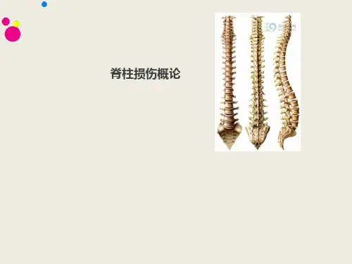 脊柱损伤概论  ppt课件