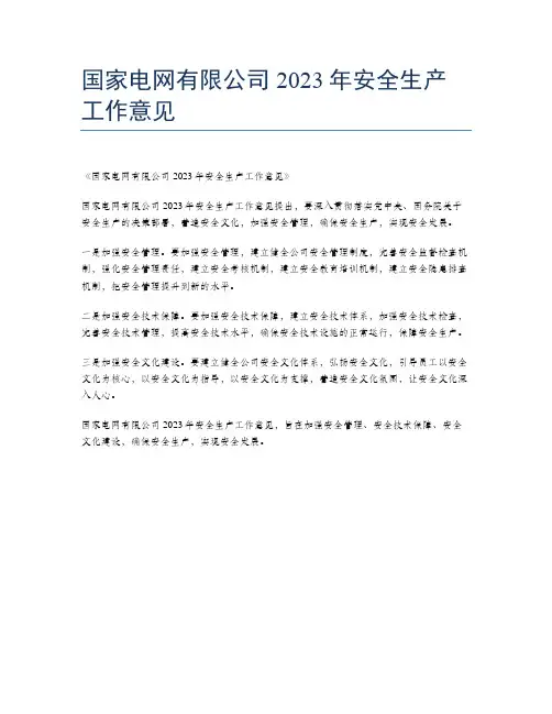 国家电网有限公司2023年安全生产工作意见