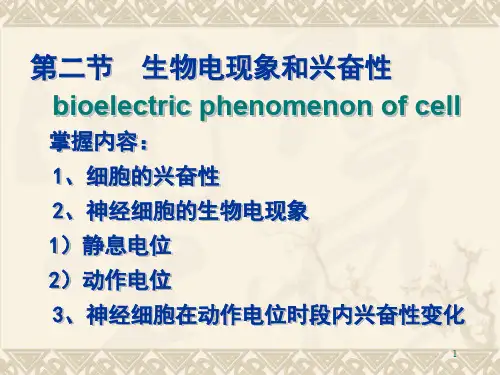 生物电现象和兴奋性