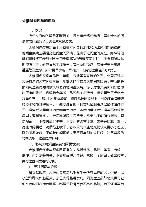 犬椎间盘疾病的诊断