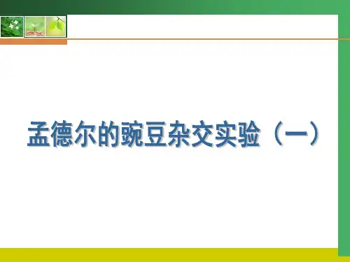 基因分离定律第一轮复习(公开课)