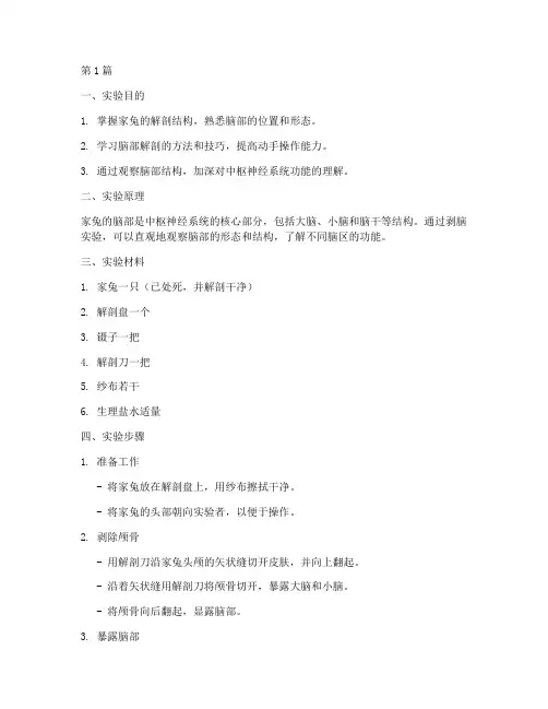 家兔剥脑实验报告(3篇)