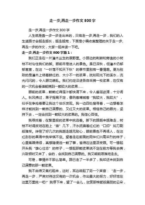 走一步,再走一步作文800字