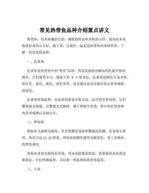 常见热带鱼品种介绍重点讲义