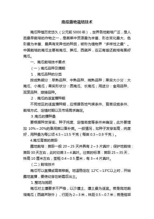南瓜露地栽培技术