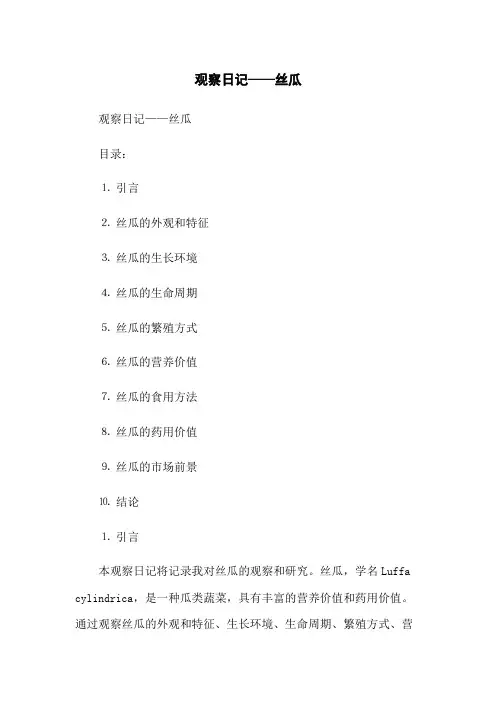 观察日记——丝瓜