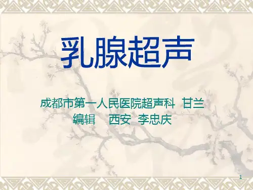 乳腺超声(学习用)PPT课件