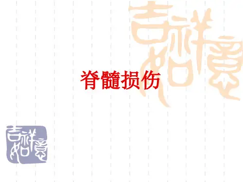 16脊髓损伤