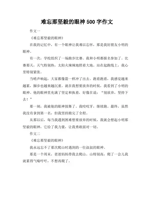 难忘那坚毅的眼神500字作文