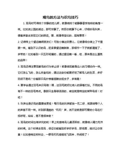 观鸟的方法与识鸟技巧