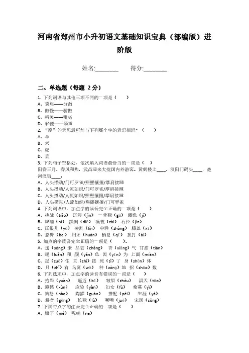 河南省郑州市小升初语文基础知识宝典(部编版)进阶版