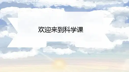 影子的秘密 ppt课件