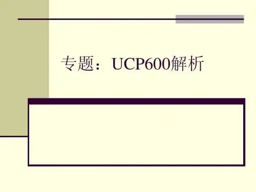 专题UCP600解析无案例版