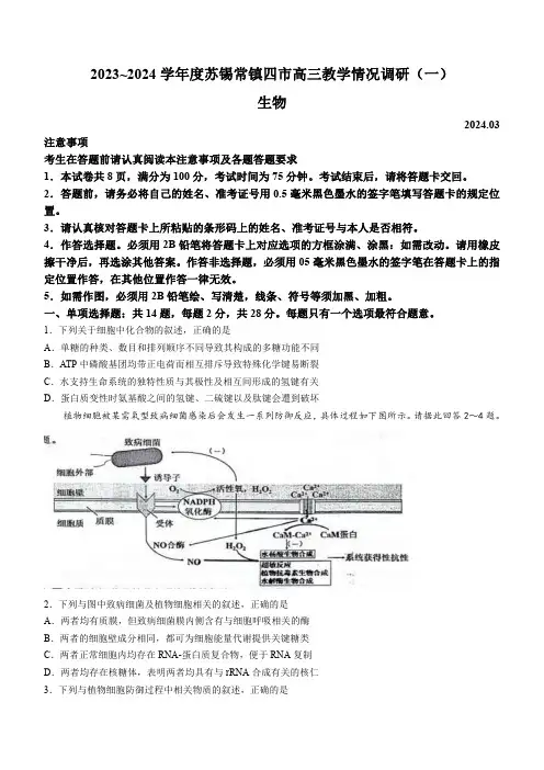 2024届江苏省苏锡常镇四市高三下学期教学情况调研(一模) 生物试题及答案