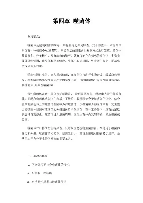 第四章噬菌体