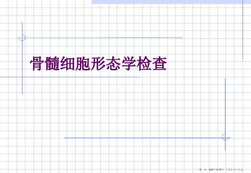 骨髓细胞形态学检查